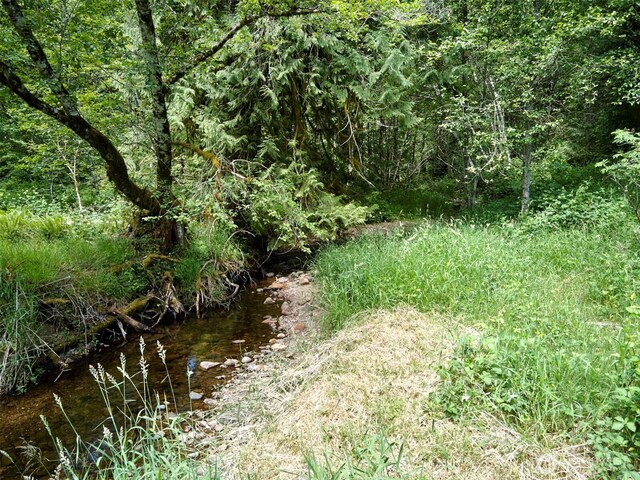 285 Ambler Rd, Ariel, WA 98603 - photo 16