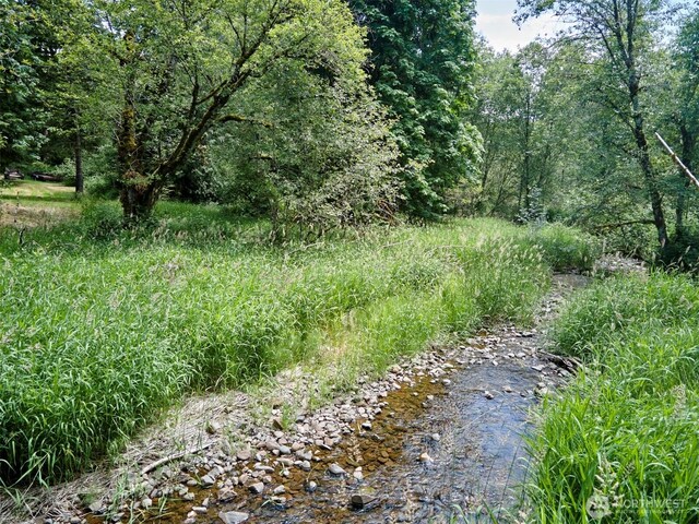 285 Ambler Rd, Ariel, WA 98603 - photo 18