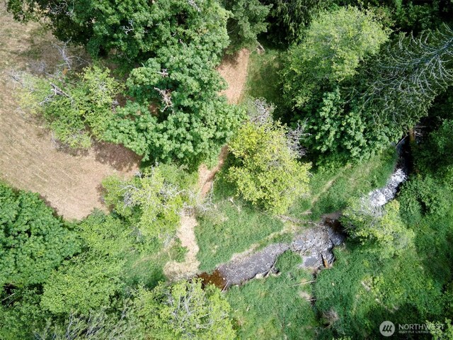 285 Ambler Rd, Ariel, WA 98603 - photo 20