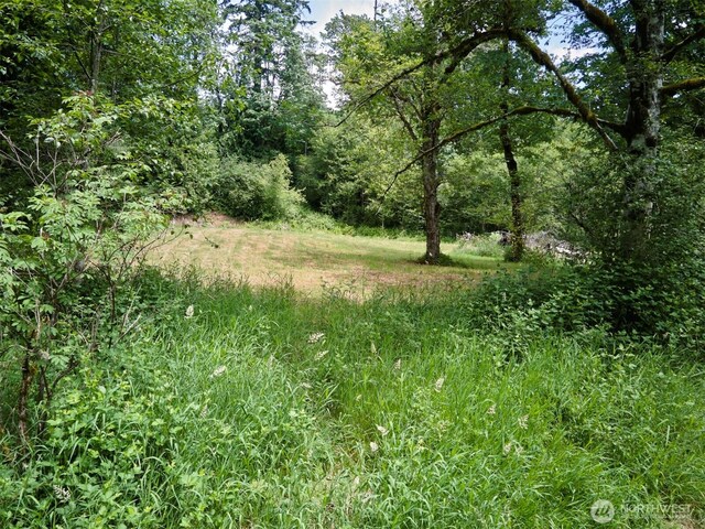285 Ambler Rd, Ariel, WA 98603 - photo 22