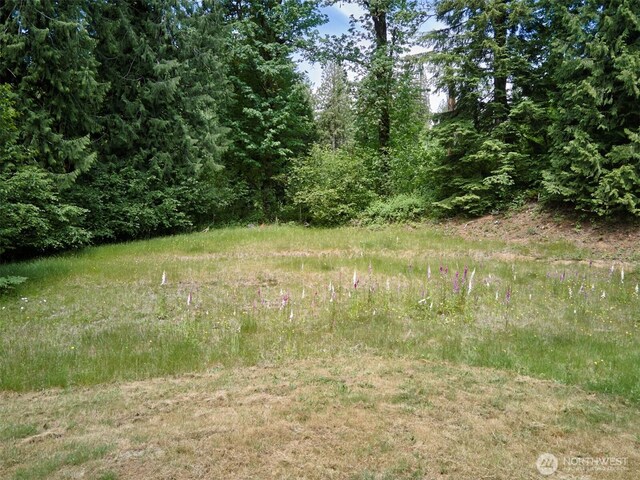 285 Ambler Rd, Ariel, WA 98603 - photo 24