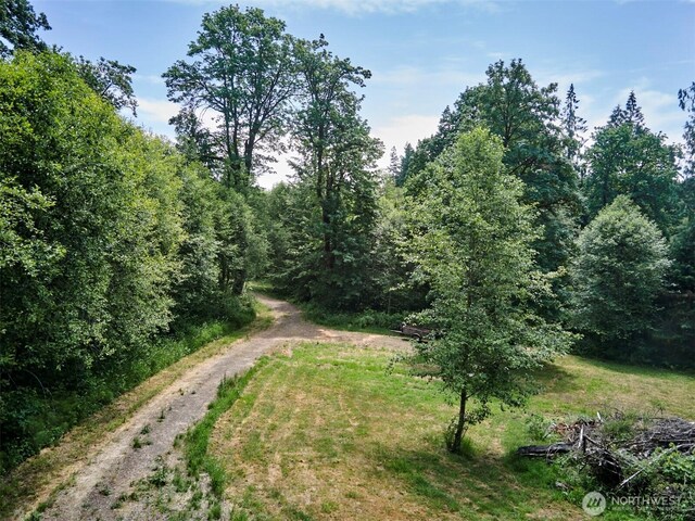 285 Ambler Rd, Ariel, WA 98603 - photo 27