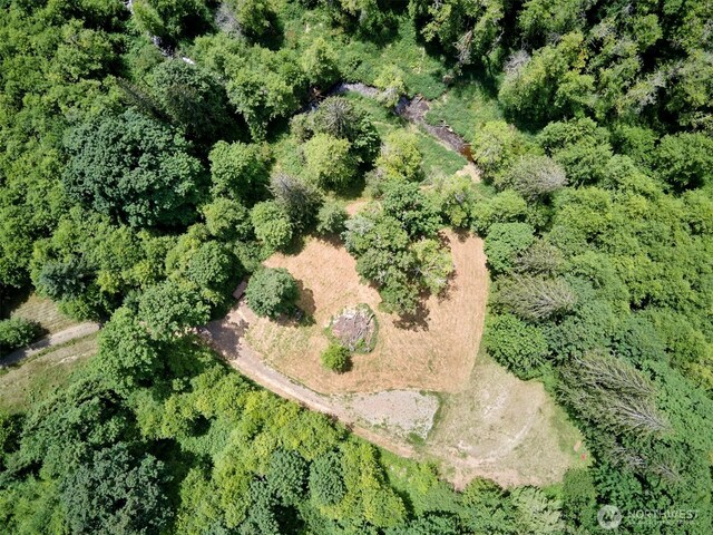 285 Ambler Rd, Ariel, WA 98603 - photo 1