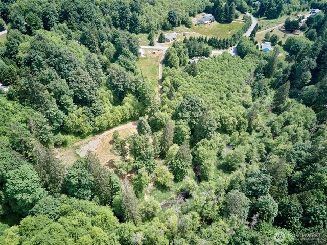 285 Ambler Rd, Ariel, WA 98603 - photo 30
