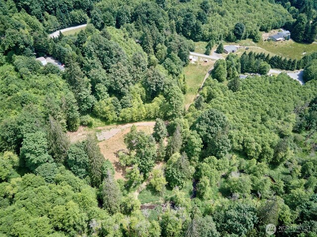 285 Ambler Rd, Ariel, WA 98603 - photo 31