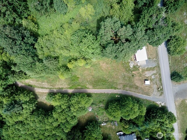 285 Ambler Rd, Ariel, WA 98603 - photo 32