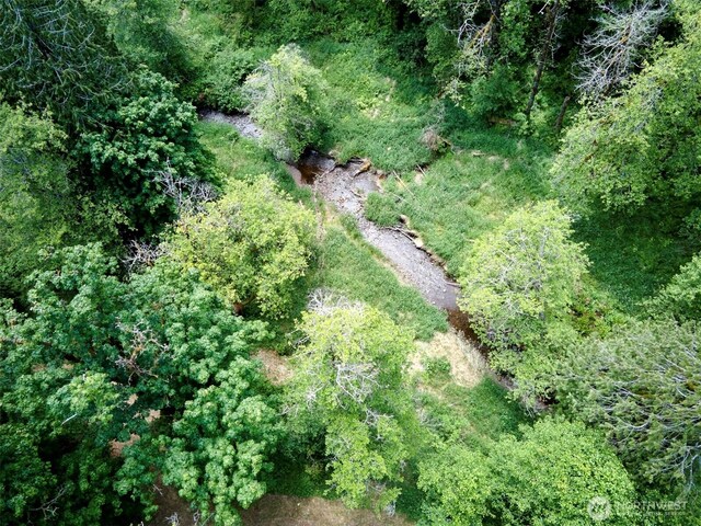285 Ambler Rd, Ariel, WA 98603 - photo 33