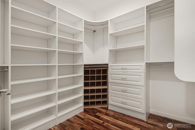 walk in closet with dark wood finished floors