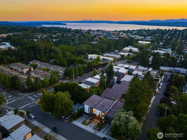 bird's eye view