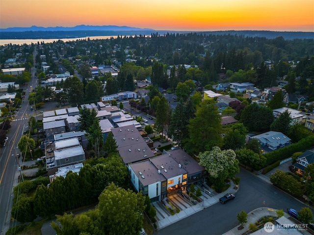 drone / aerial view with a water view and a residential view