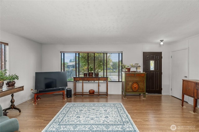 living area featuring wood finished floors and a textured ceiling