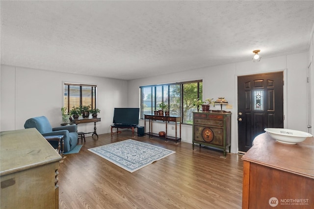 living room with a textured ceiling, plenty of natural light, and wood finished floors
