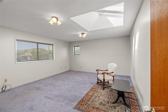 unfurnished room with a skylight and carpet floors