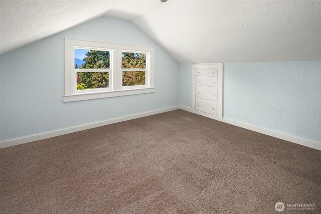 25443 Pioneer Way NW, Poulsbo, WA 98370 - additional living space featuring a textured ceiling, vaulted ceiling, carpet flooring, and a textured wall