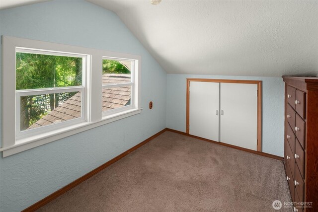 25443 Pioneer Way NW, Poulsbo, WA 98370 - additional living space with vaulted ceiling, carpet flooring, baseboards, and a textured ceiling