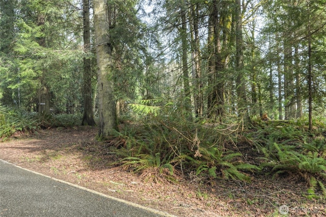 3344 Gravelly Beach Loop NW, Olympia, WA 98502