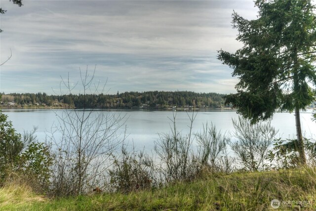 3344 Gravelly Beach Loop NW, Olympia, WA 98502