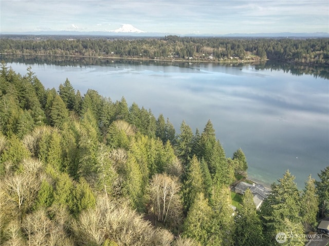 3344 Gravelly Beach Loop NW, Olympia, WA 98502