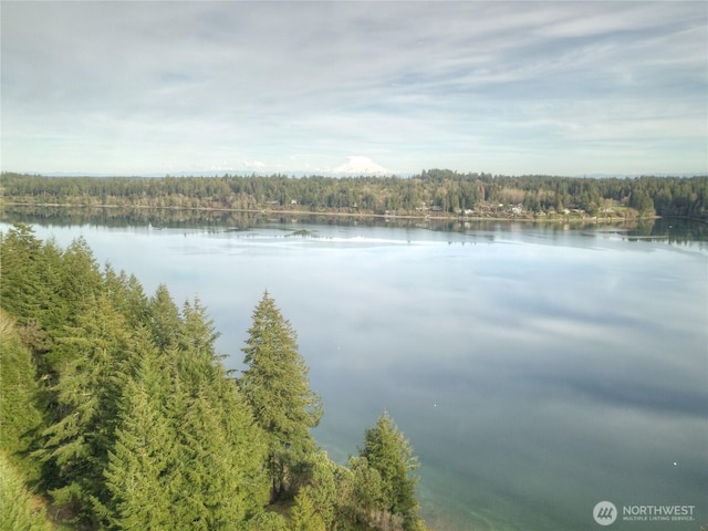 3344 Gravelly Beach Loop NW, Olympia, WA 98502