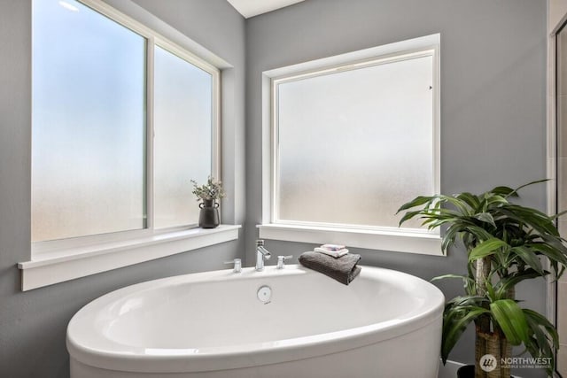 bathroom featuring a freestanding bath