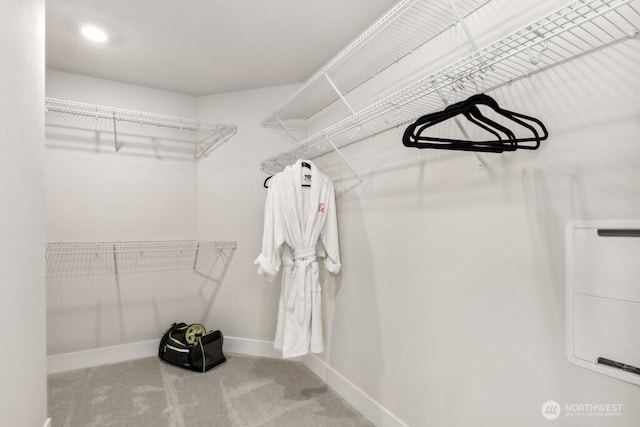 spacious closet with carpet