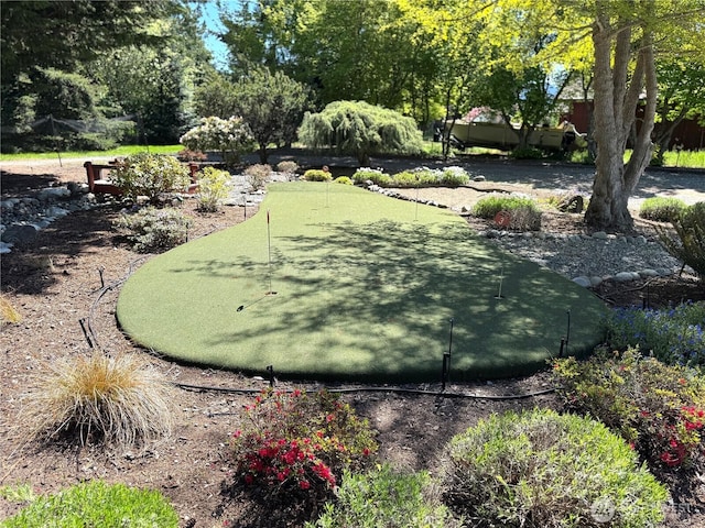 70 Cedar Hill Ln, Sequim, WA 98382 - surrounding community featuring a putting green