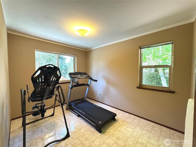70 Cedar Hill Ln, Sequim, WA 98382 - exercise area featuring ornamental molding, baseboards, a textured ceiling, and light flooring