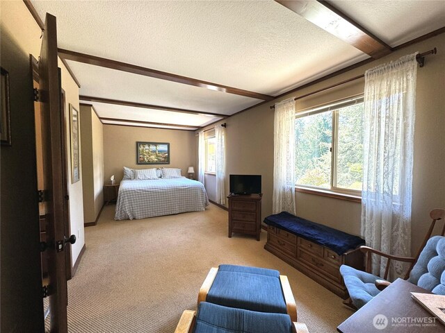 70 Cedar Hill Ln, Sequim, WA 98382 - carpeted bedroom featuring beam ceiling and a textured ceiling