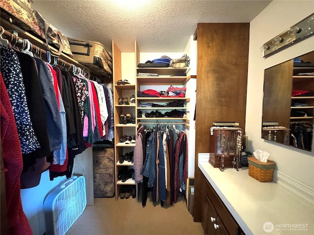 70 Cedar Hill Ln, Sequim, WA 98382 - walk in closet featuring carpet