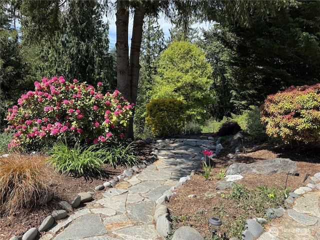 70 Cedar Hill Ln, Sequim, WA 98382 - view of yard
