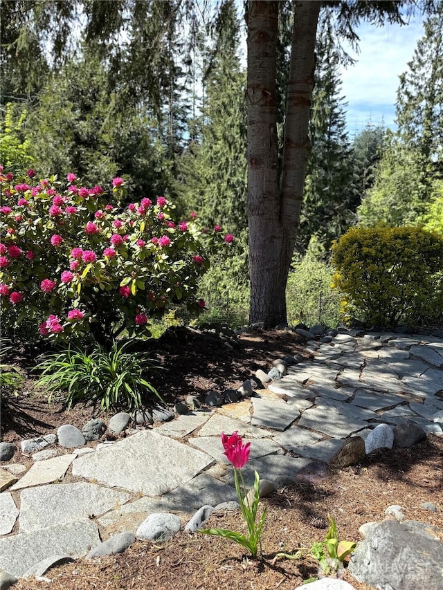 70 Cedar Hill Ln, Sequim, WA 98382 - view of yard