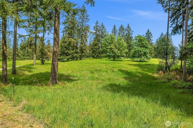 11920 SW 232nd St, Vashon, WA 98070 - photo 4