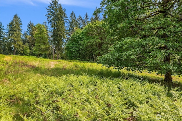 11920 SW 232nd St, Vashon, WA 98070 - photo 6