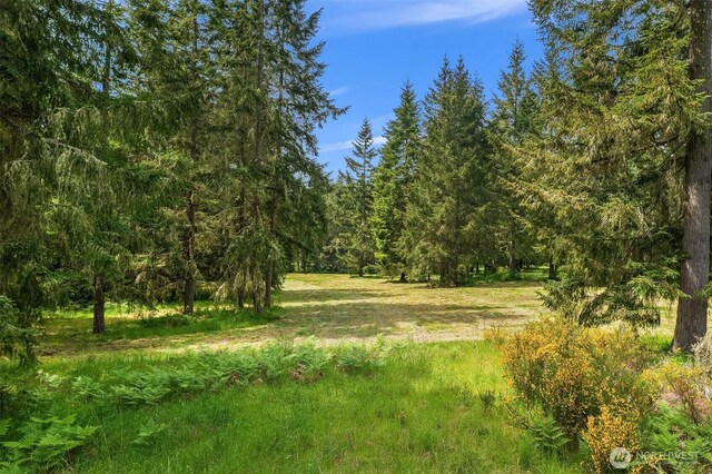 11920 SW 232nd St, Vashon, WA 98070 - photo 7