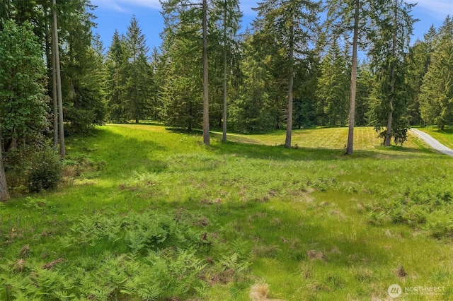 11920 SW 232nd St, Vashon, WA 98070 - photo 3