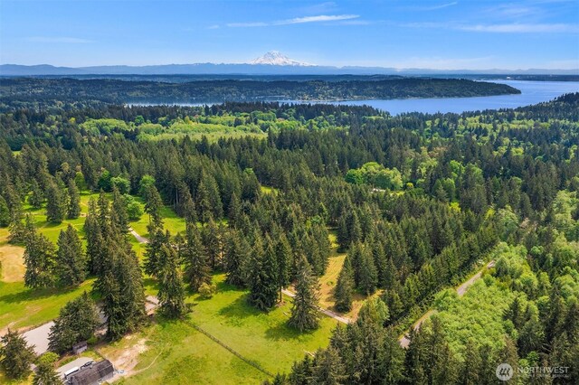 11920 SW 232nd St, Vashon, WA 98070 - photo 9