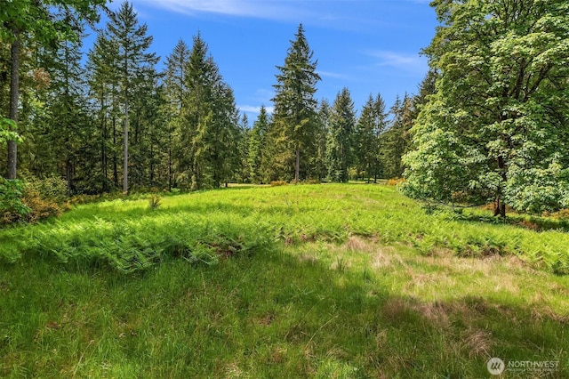 11920 SW 232nd St, Vashon, WA 98070 - photo 16
