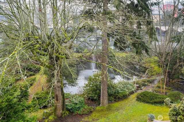 19428 Aurora Ave N Unit 433, Shoreline, WA 98133 - water view