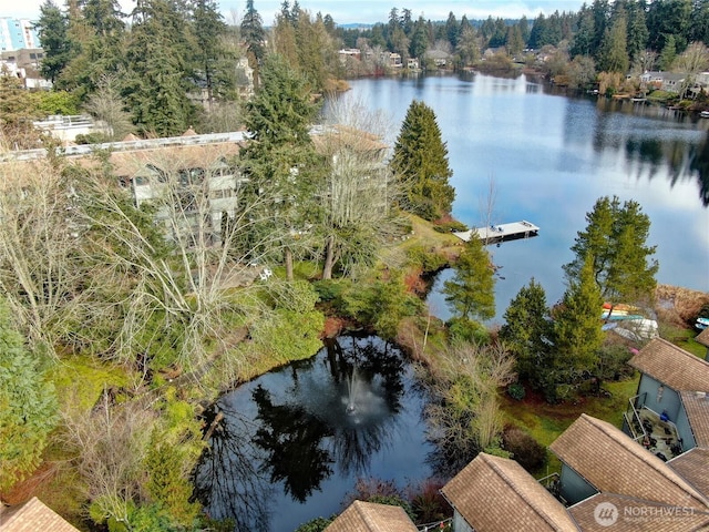 19428 Aurora Ave N Unit 433, Shoreline, WA 98133 - aerial view of a large body of water