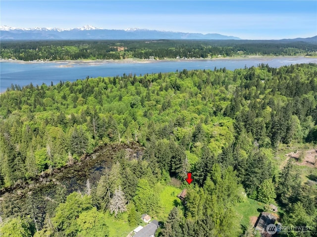view of property location with a forest and a water and mountain view
