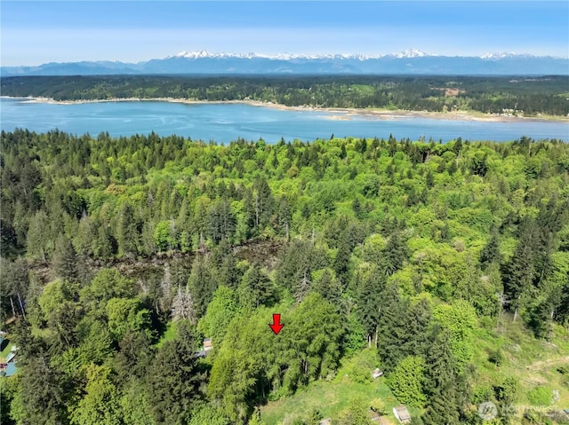 aerial view of a forest and a water and mountain view