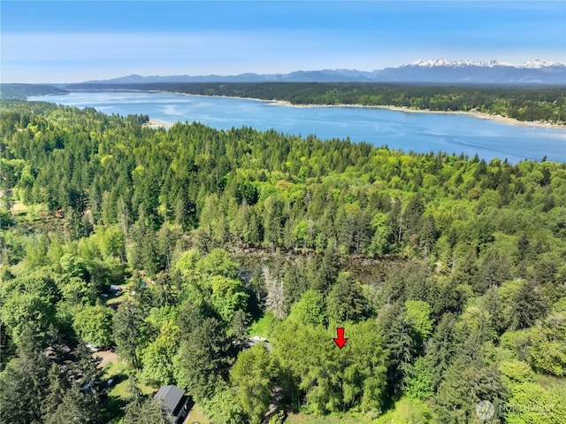 drone / aerial view of a water and mountain view and a forest