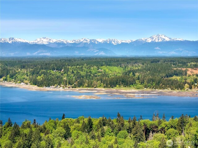 water view with a heavily wooded area and mountains