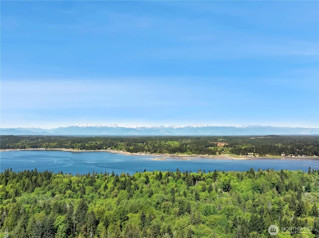 water view featuring a forest and a mountainous background