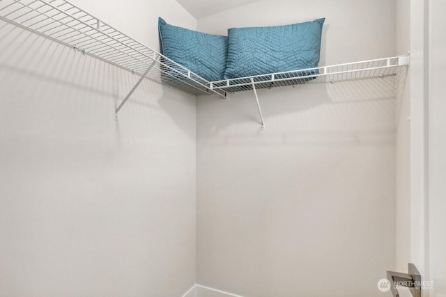 view of walk in closet