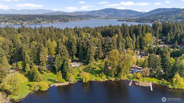 16538 SE 19th St, Bellevue, WA 98008