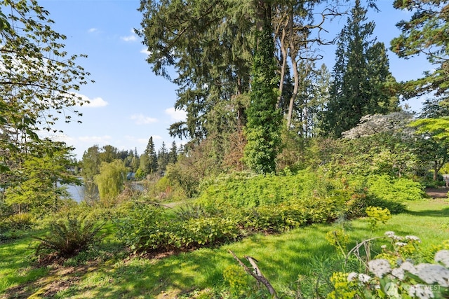 16538 SE 19th St, Bellevue, WA 98008