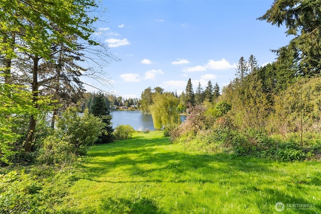 16538 SE 19th St, Bellevue, WA 98008