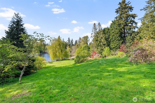 16538 SE 19th St, Bellevue, WA 98008
