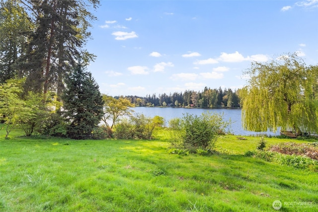 16538 SE 19th St, Bellevue, WA 98008